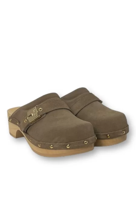 SHOLL ICONIC PESCURA CLOG 50 Qualità